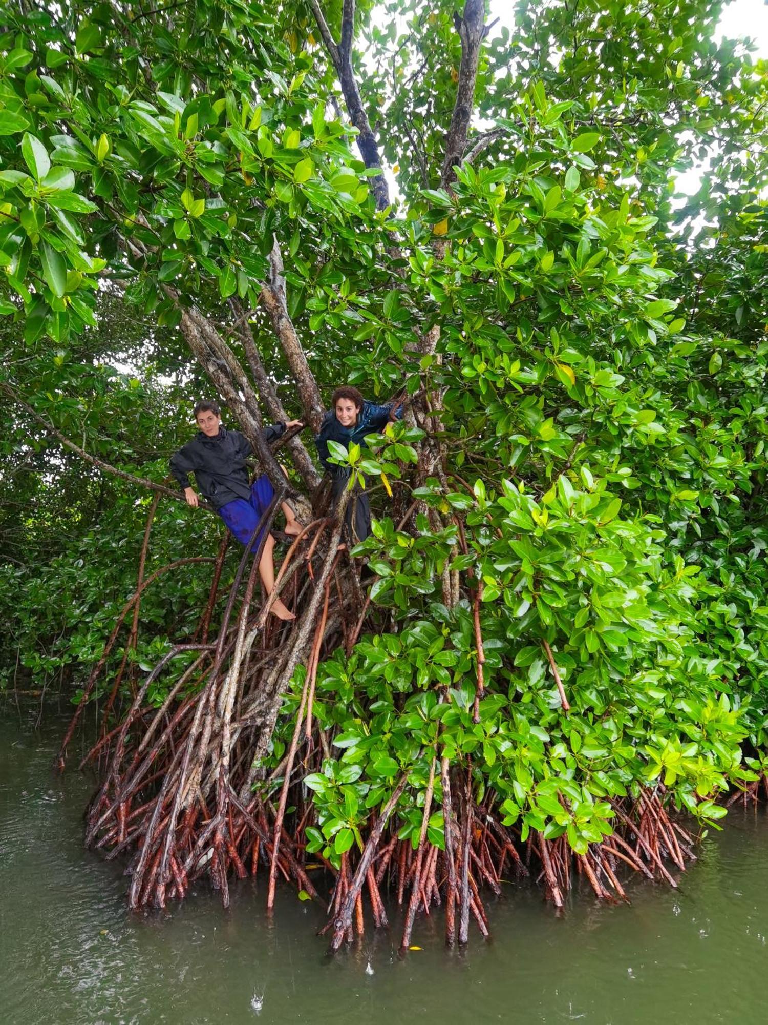 Santa Maria Hostel Munroe Island Mundrothuruth Bagian luar foto