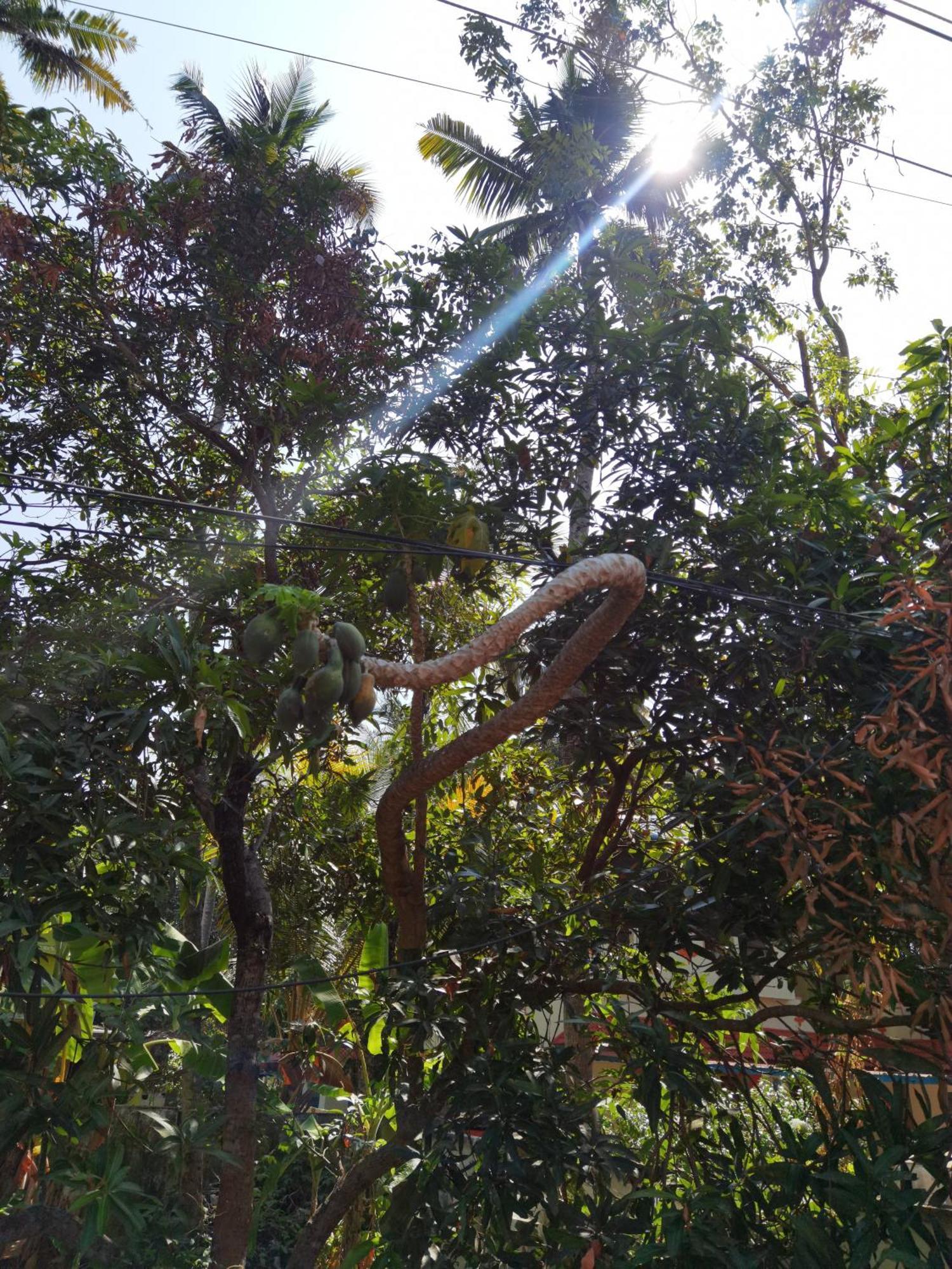 Santa Maria Hostel Munroe Island Mundrothuruth Bagian luar foto